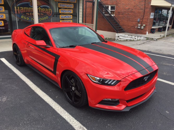 Vehicle Graphics